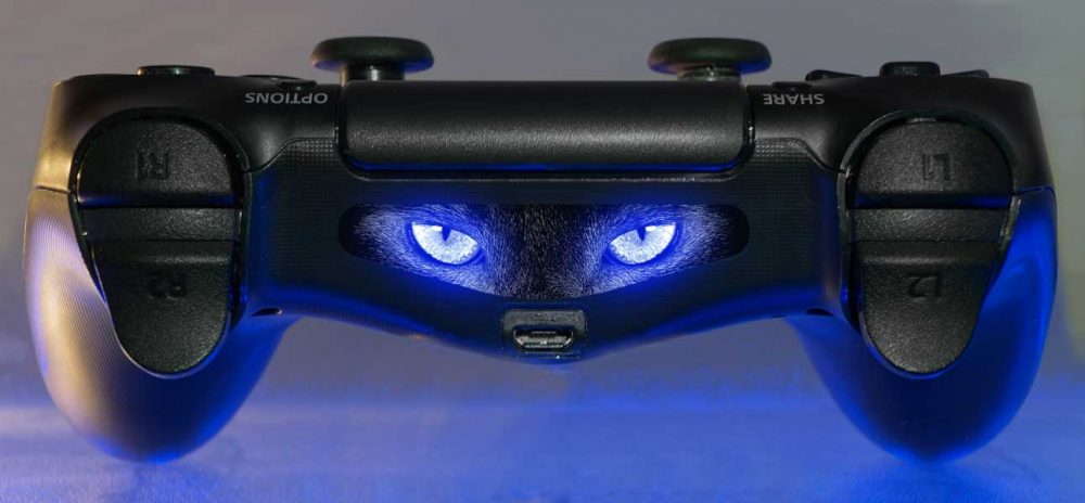 Photo - Cat Eyes