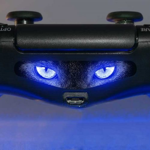 Photo - Cat Eyes