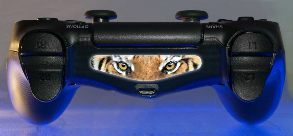 Photo - Tiger Eyes
