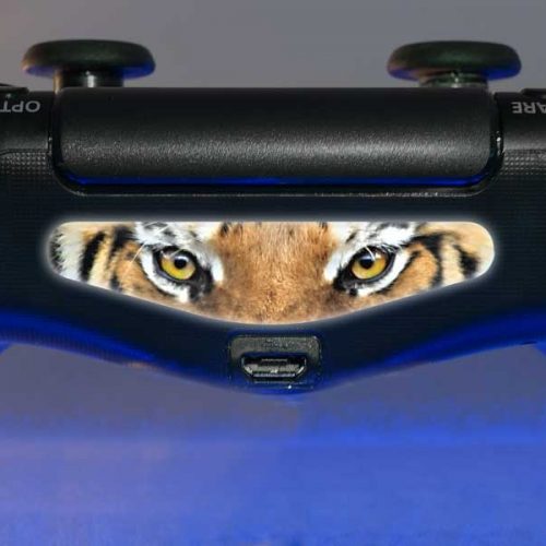 Photo - Tiger Eyes