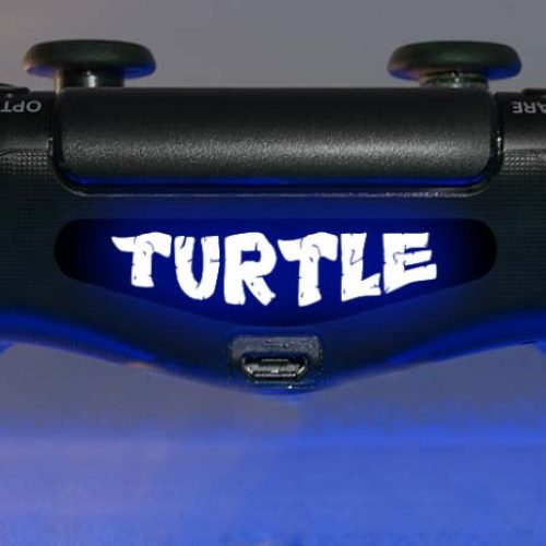 Turtle