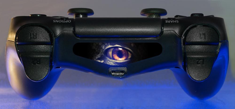 Photo - Dino Eye